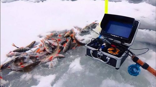Почему следует приобретать зимние эхолоты для рыбалки на сайте optimys