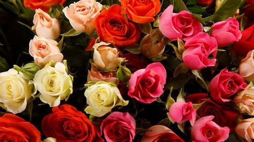 «Русский букет»: проверенный сервис доставки цветов