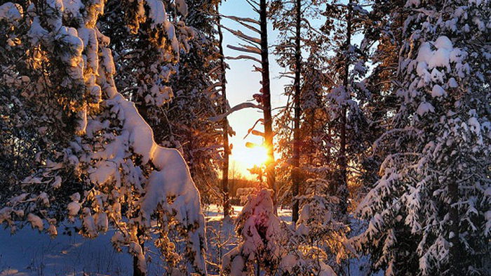 Церковный праздник 8 января: что нельзя делать на Собор Пресвятой Богородицы, у кого день ангела