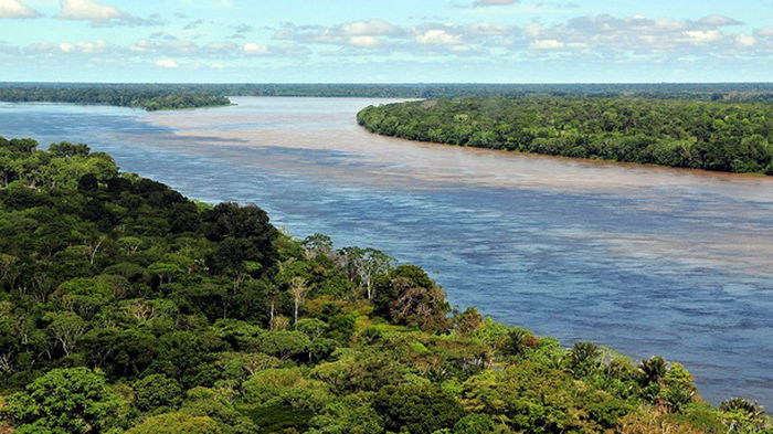 В Бразилии зафиксированы рекордные показатели вырубки леса