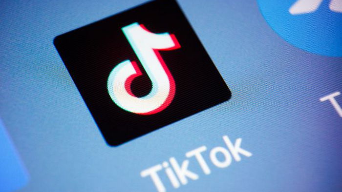 Сотрудникам госорганов и частных компаний Чехии запретили использовать TikTok