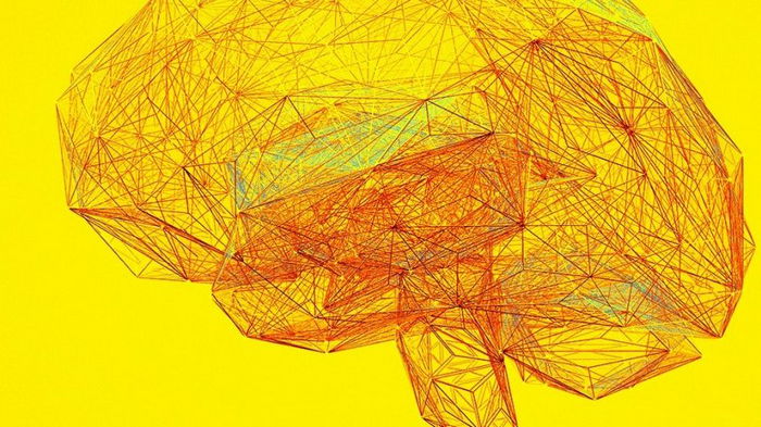 Может ли человеческий мозг действительно восстанавливаться? Новое исследование дало ответ