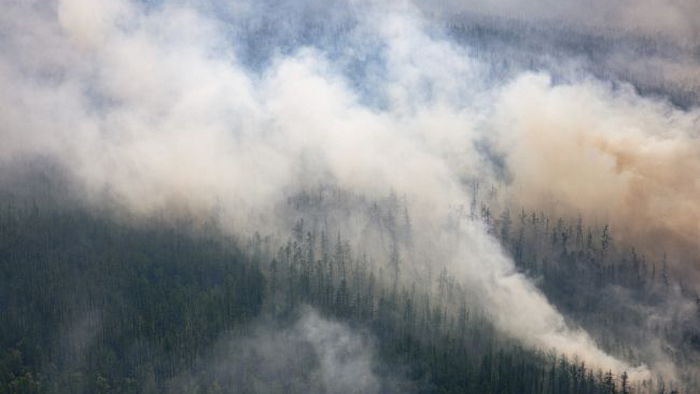 В Канаде масштабные лесные пожары: эвакуируют более 24 тысяч человек