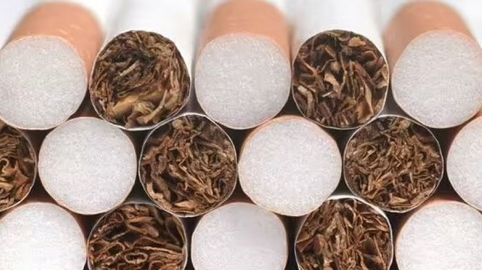 Возвращаемся к папиросам. Ученые предлагают запретить сигаретные фильтры, и на то есть веская причина