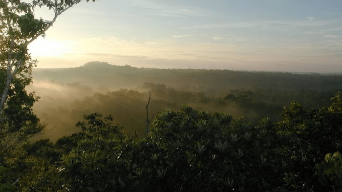 Скрытый от глаз: в джунглях обнаружен древний город майя, который «невозможно было найти» (фото)
