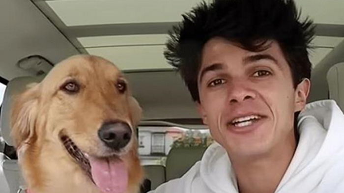 Американец подарил собаке будку за $20 тысяч (видео)