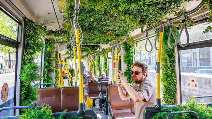 В Антверпене трамвай превратили в движущийся сад