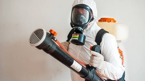 дезинсекция