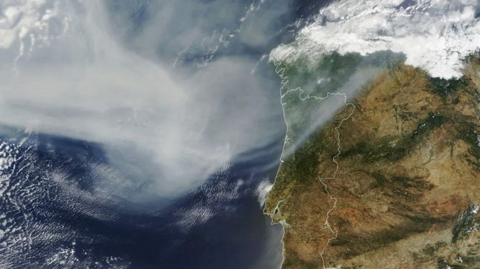 Гигантское облако удушливого дыма от лесных пожаров в Канаде достигло Европы