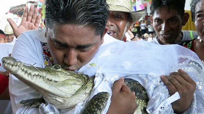 Мэр мексиканского города женился на крокодилихе