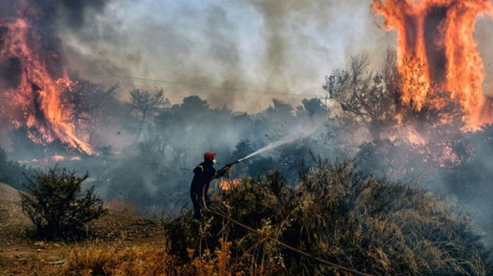 В Греции объявили эвакуацию жителей острова Корфу из-за масштабного пожара