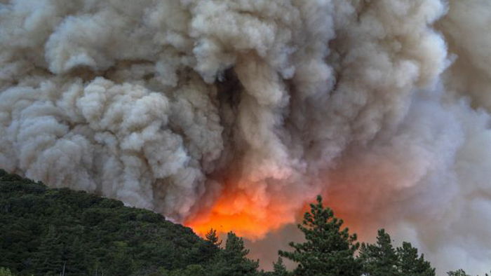 В Канаде бушуют масштабные лесные пожары: погиб пилот вертолета, который гасил возгорание