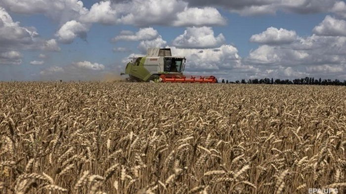 Аграрии Украины собрали более 16,5 млн тонн зерна