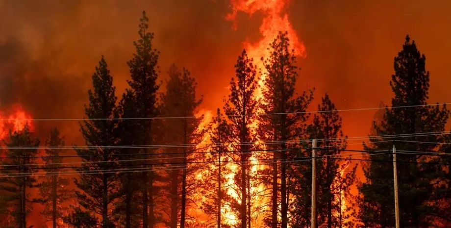 Запускают череду бедствий. Ученые поняли, как лесные пожары вызывают оползни и наводнения