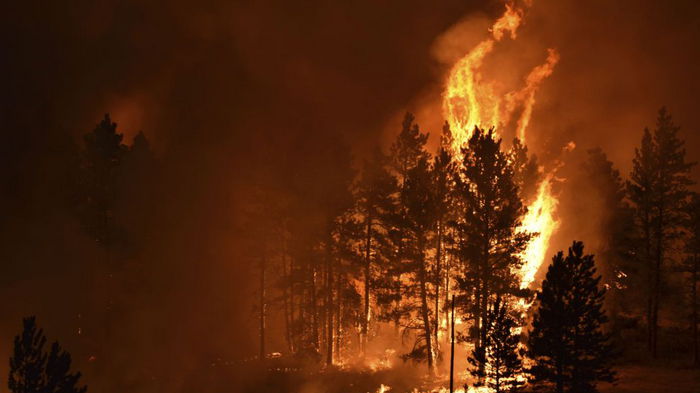 Искусственный интеллект помогает предотвратить масштабные лесные пожары