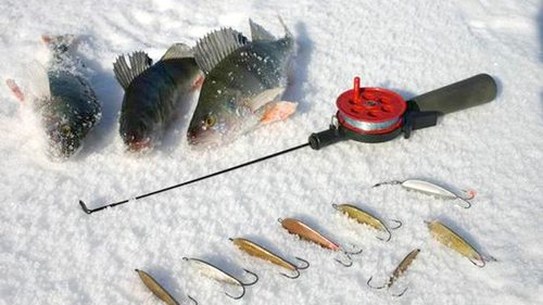 Зимняя рыбалка: как правильно выбрать удочку