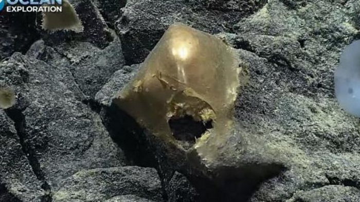 Чужой на дне океана. У подводного вулкана Аляски найдено жутковатое золотое яйцо с дырой