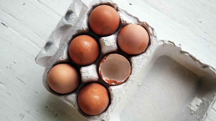 Опасны ли коричневые вкрапления в сырых яйцах: ученые объяснили, что это такое