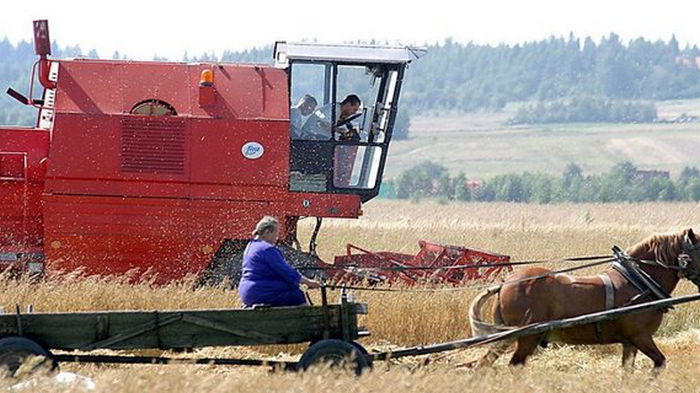 «Кризиса такого масштаба не было много лет». Польские фермеры жалуются на обвал цен