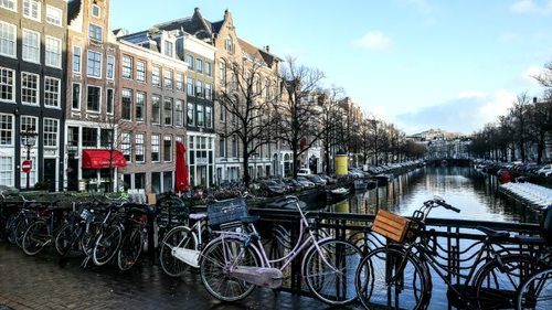 Открытие бизнеса в Нидерландах: что следует знать