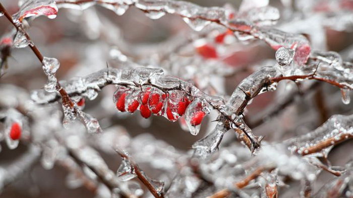 Синоптик рассказала о погоде в ближайшие дни, назвав дату похолодания в Украине
