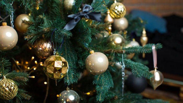 Синдром новогодней елки: почему живое дерево в доме может стать кошмарной идеей