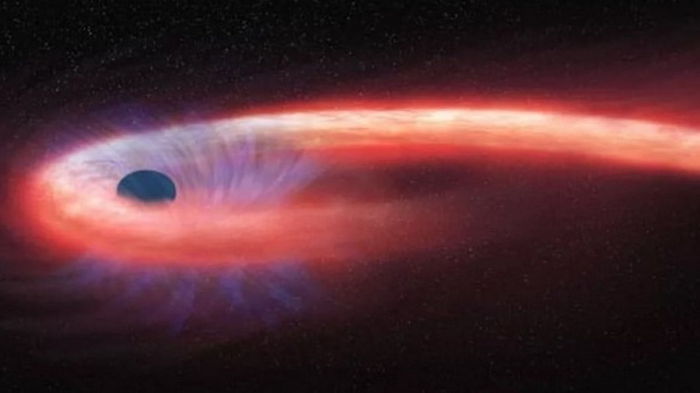 Загадка центральной черной дыры Млечного Пути: каким образом рядом с ней появились звезды