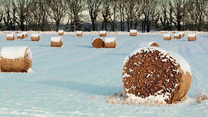Праздник 10 января: что нельзя делать - иначе будете болеть весь год