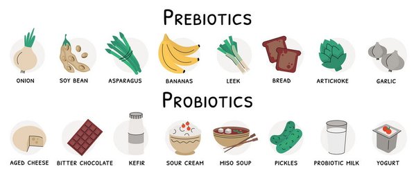 пробиотики и пребиотики