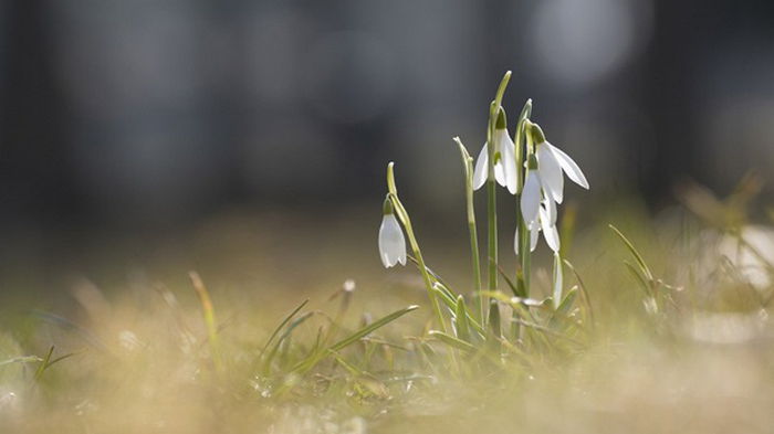 Синоптики рассказали, чего ждать от погоды в выходные