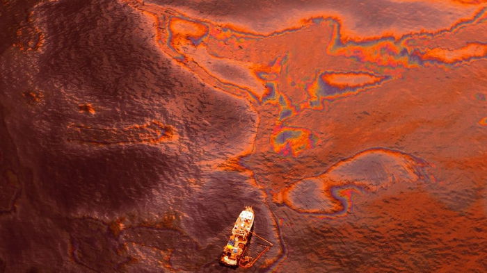 Кто-то травит океан цианидом, уничтожая все живое: ученые пытаются найти виновного