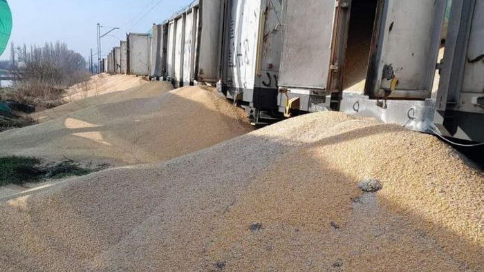 В Польше в четвертый раз за месяц рассыпали украинское зерно. Кубраков резко отреагировал