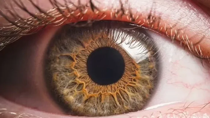 Проникают из кишечника и слепят нас: ученые выяснили, что за потерей зрения стоят бактерии