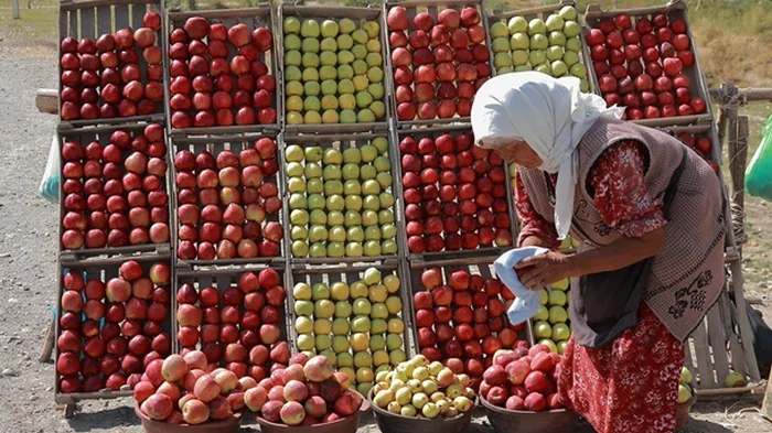 Мировые цены на продовольствие упали за год на 10%