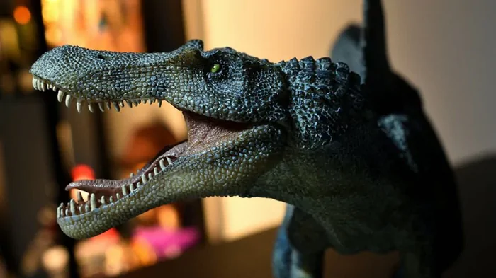 Неспешно выжидал жертву на побережье: спинозавры не были глубоководными пловцами