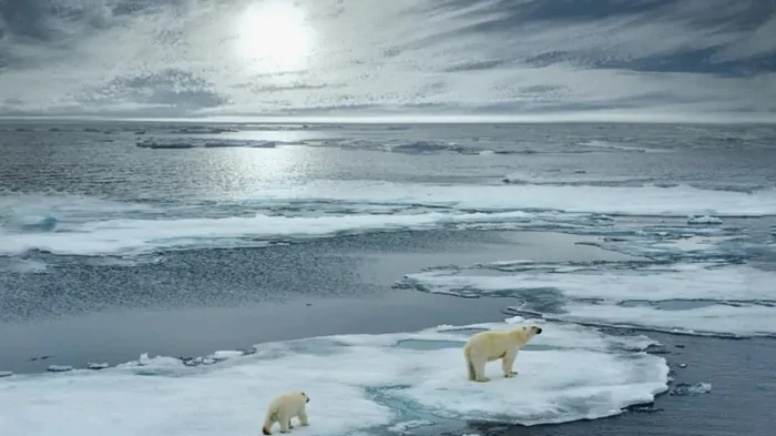 Весь лед в Арктике неизбежно исчезнет: когда это произойдет и кто пострадает больше всего