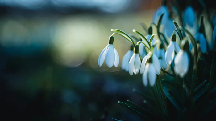 Собор архангела Гавриила: что строго нельзя делать в этот день, традиции
