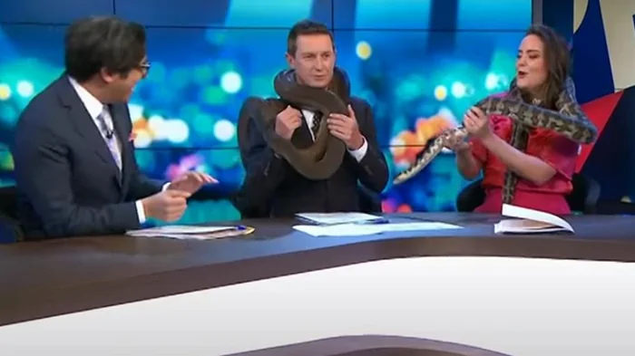 Змея чуть не задушила телеведущего в прямом эфире в Австралии