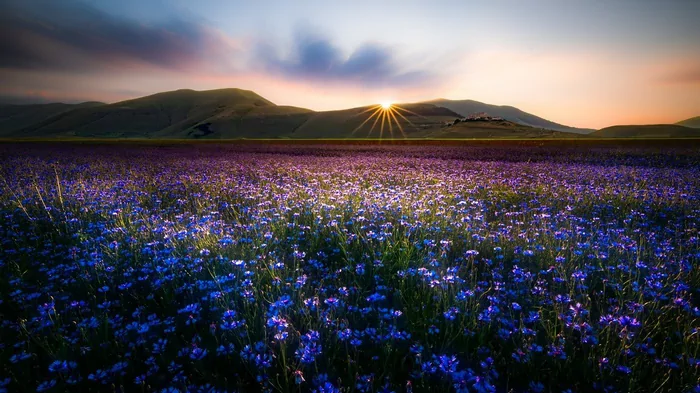 Церковный праздник 8 апреля: что нужно и что нельзя делать сегодня