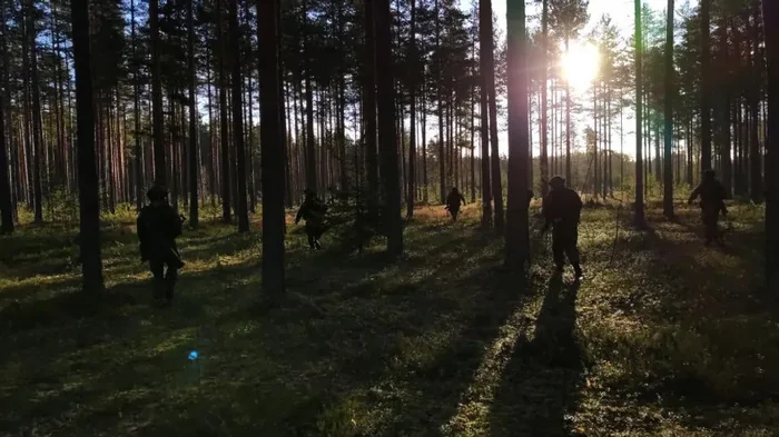 Финляндия проведет совместные учения с военными НАТО