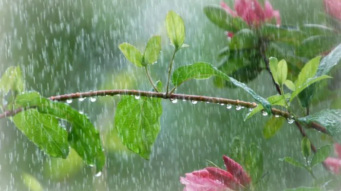 Светлая среда: что нельзя делать сегодня, главные традиции