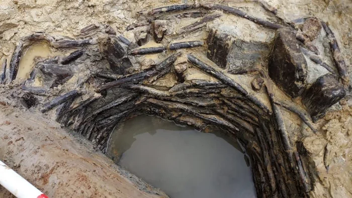 Технология людей бронзового века: археологи нашли деревянный колодец почти в идеальном состоянии