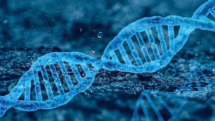 Нашли подход к тяжелой болезни миллионов: ученые обнаружили важнейший ген ожирения