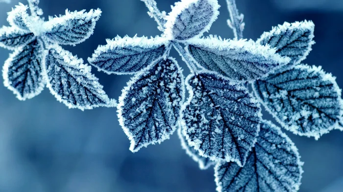 Праздник сегодня, 3 февраля: что нельзя делать, приметы и у кого день ангела