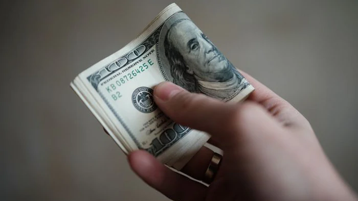 Курс наличного доллара в банках за год вырос на 10%, — НБУ