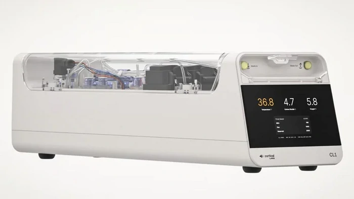 Шаг в будущее: выпущен первый коммерческий биокомпьютер на клетках мозга человека