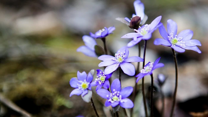 14 марта: какой церковный праздник и что нельзя делать сегодня