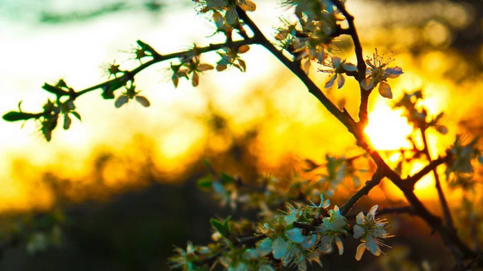 Гороскоп на неделю: для всех знаков зодиака