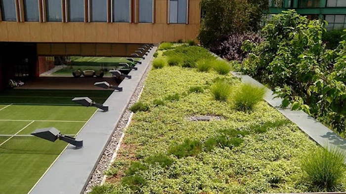 озеленення дахів