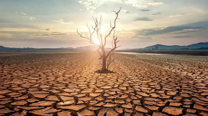 40% мировой экономики будет уничтожено: ученые назвали, что нанесет сокрушительный удар